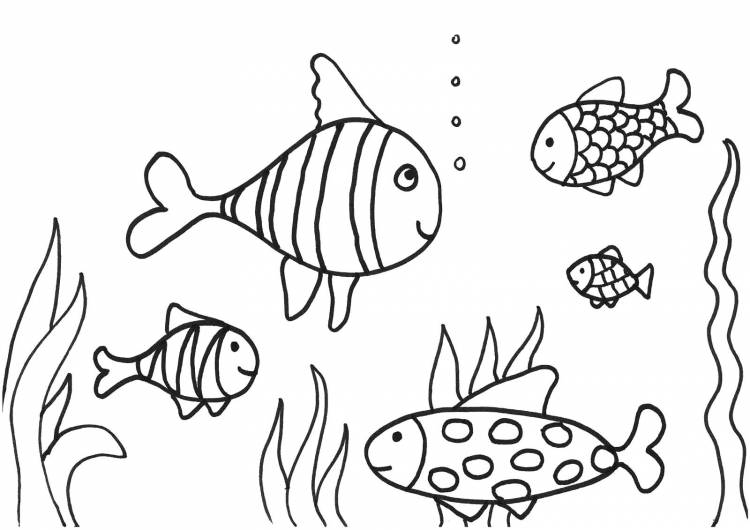 Раскраски рыбки, Раскраска Аквариумные рыбки Морские животные