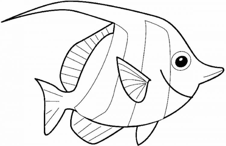 Раскраски Рыба рисунок для детей 