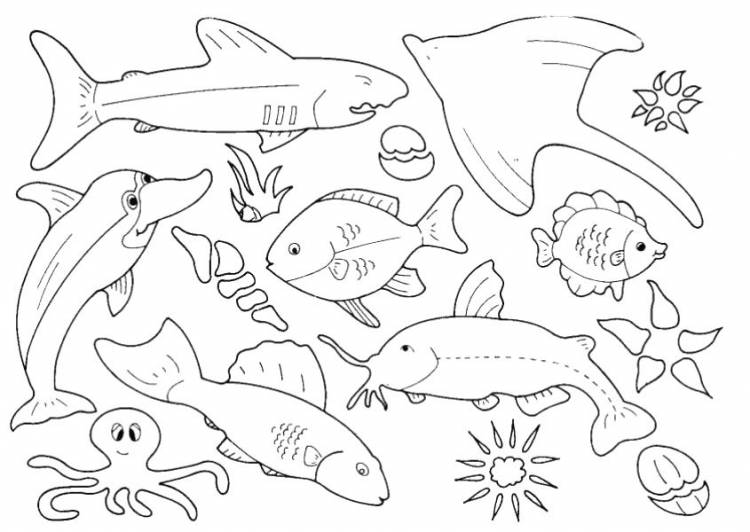 Раскраски рыб, Раскраска Рыбы для детей Морские животные