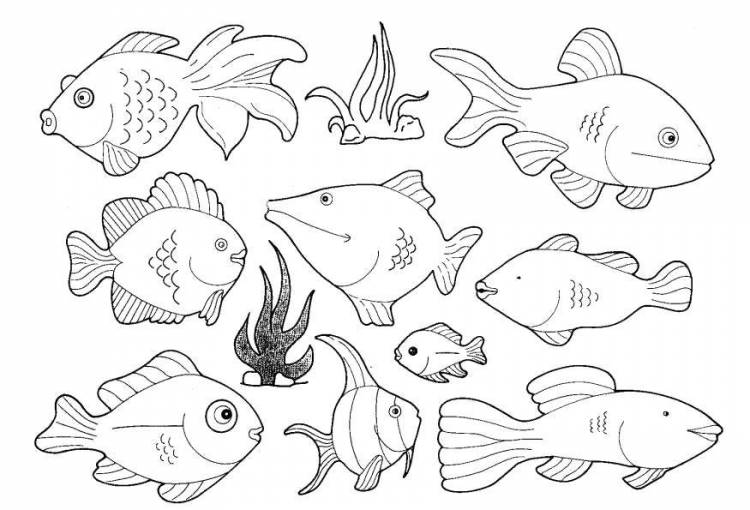 Раскраски Раскраска Рыбки подводный мир морские животные, скачать распечатать раскраски