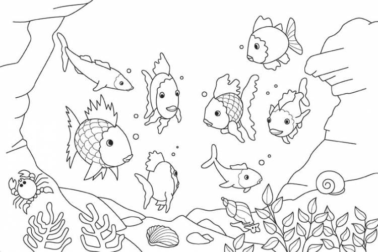 Раскраски животные, Раскраска Рыбы для детей Морские животные