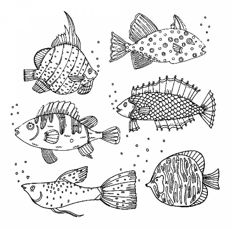 Раскраски для детей и взрослых хорошего качестваРаскраска виды речных и морских рыб