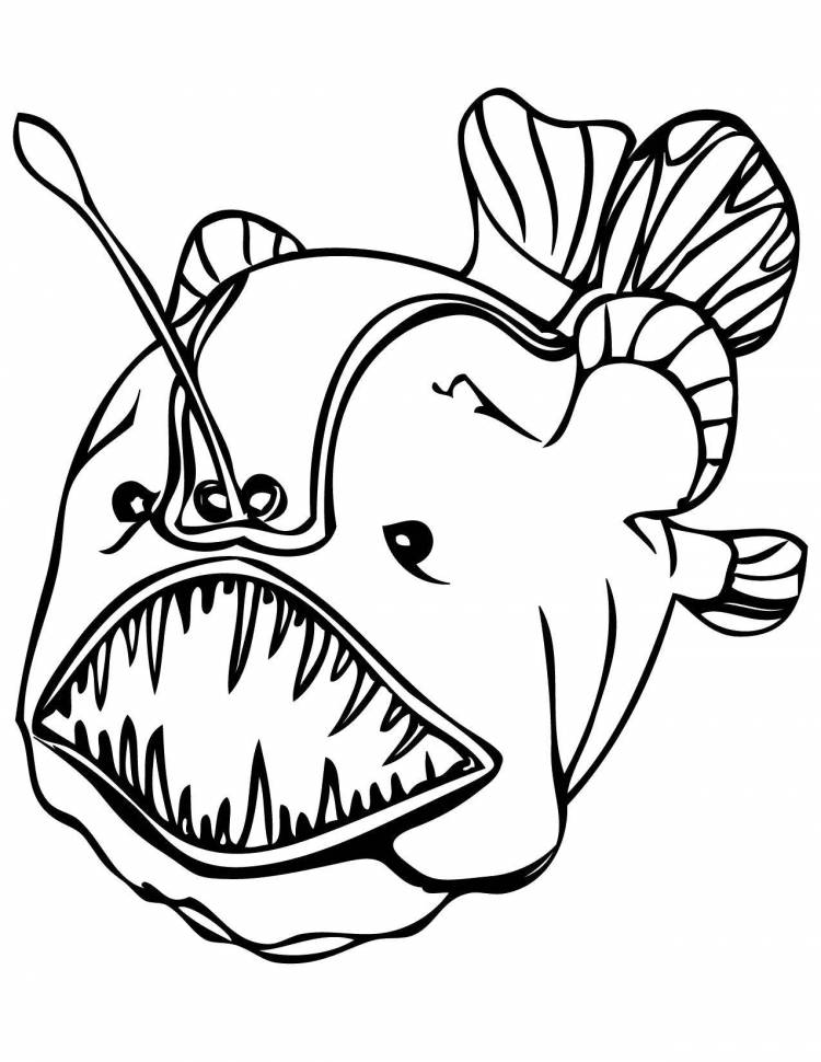 Раскраски Раскраска Европейский удильщик морской чёрт рыбы, скачать распечатать раскраски