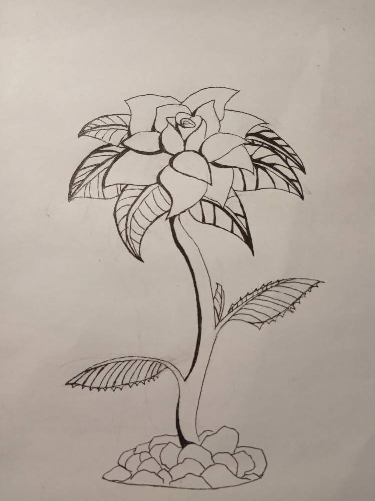 Рисунок карандашом из сказки каменный цветок