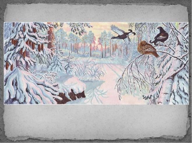 Картинки михаил пришвин птицы под снегом 