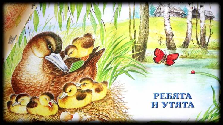 Ребята и утята Михаил Пришвин Аудиосказка для детей с картинками Baby Book