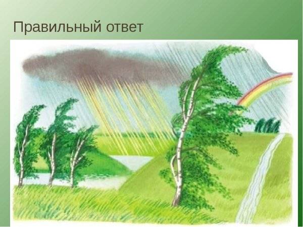 Картинки стих весенний дождь 