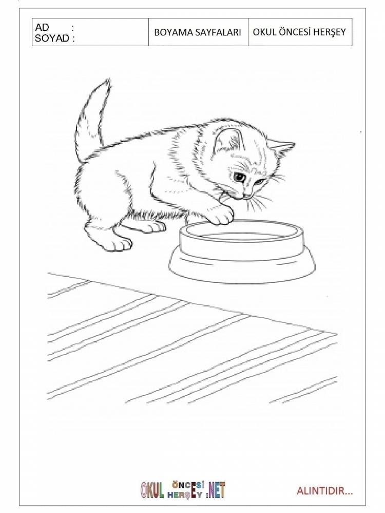 Рисунок к сказке котенок толстого