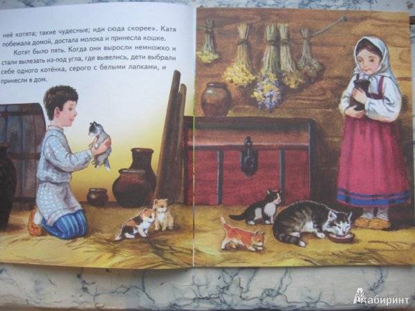 Иллюстрации к рассказу котенок льва николаевича толстого 