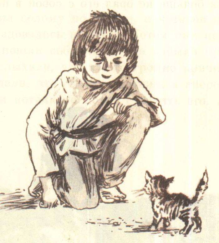 Рисунок к рассказу котенок для учеников