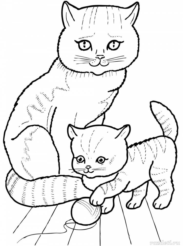 Иллюстрация к рассказу котенок Толстого