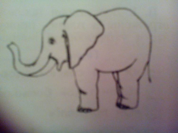 Иллюстрация к рассказу слон Куприна