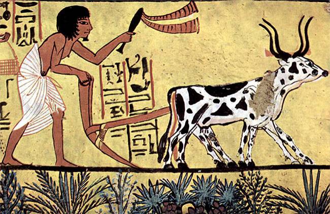 Переход древних людей к основанному на ведении сельского хозяйства оседлому образу жизни сопровождался трансформацией института собственности