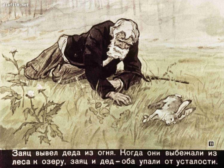 Заячьи лапы Паустовский иллюстрации к рассказу