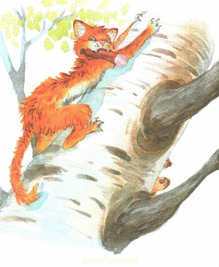 Иллюстрации к рассказу кот ворюга Паустовский