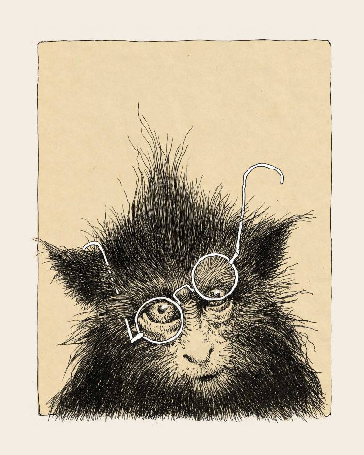 Иллюстрация Мартышка и очки