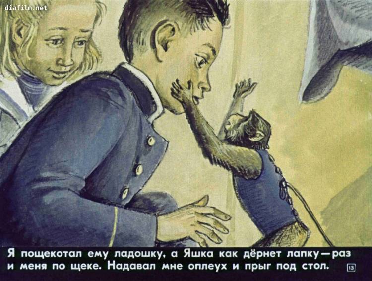 Иллюстрации к рассказу про обезьянку Житков