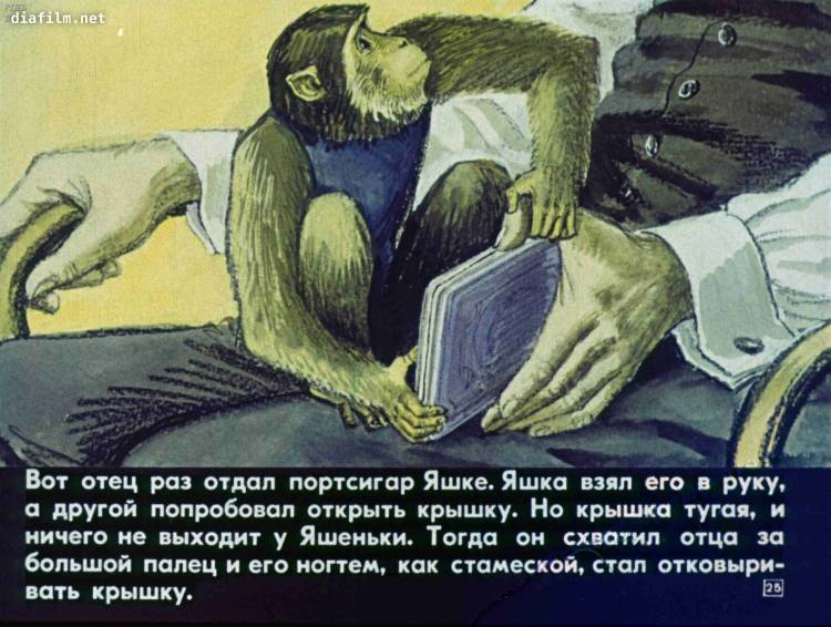 Иллюстрация к рассказу Житкова про обезьянку