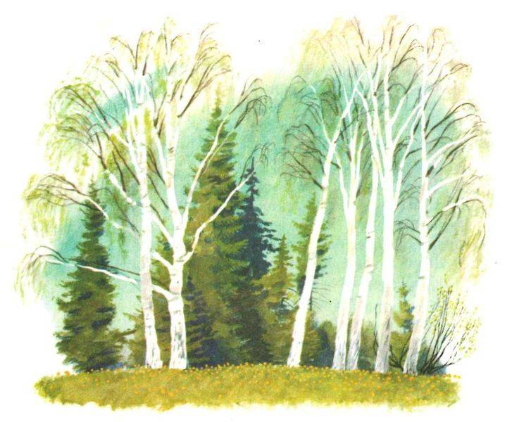 Рассказ «Разговор деревьев»