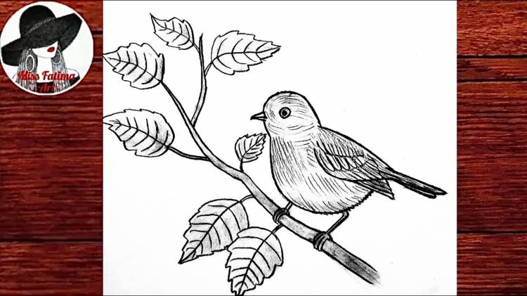 Как Нарисовать Птицу На Ветке Очень Просто