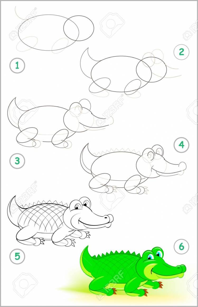 Крокодил рисунок для детей поэтапно