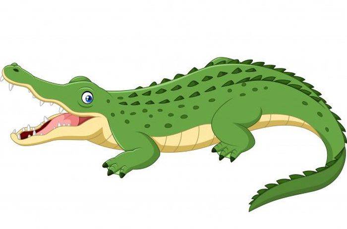 Крокодил картинки для детей в школе и в детском саду