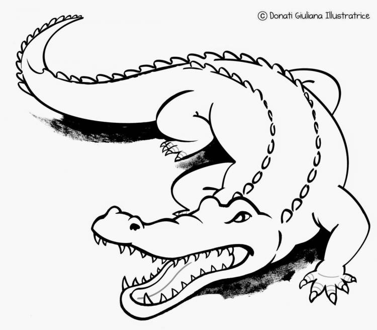 Поэтапное рисование крокодила для детей
