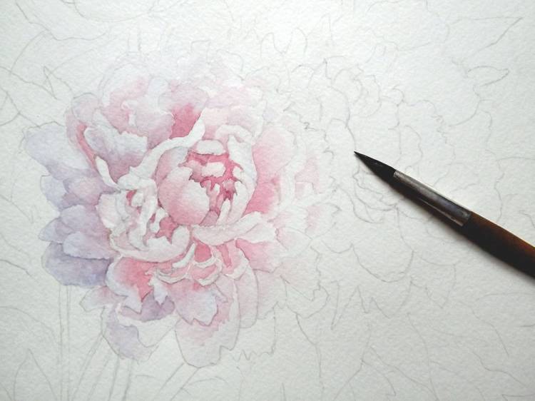 Реалистичное изображение розовых пионов в смешанной технике (акварель и цветные карандаши)