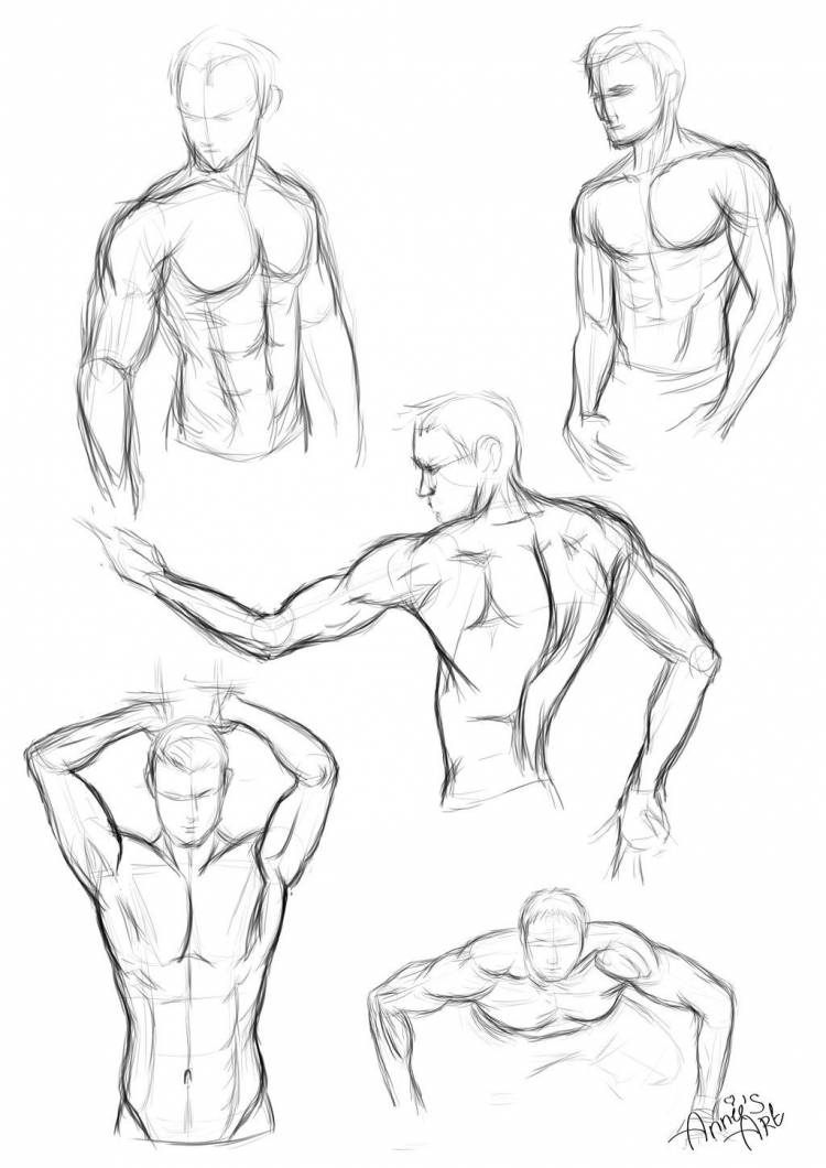 sketch of male body