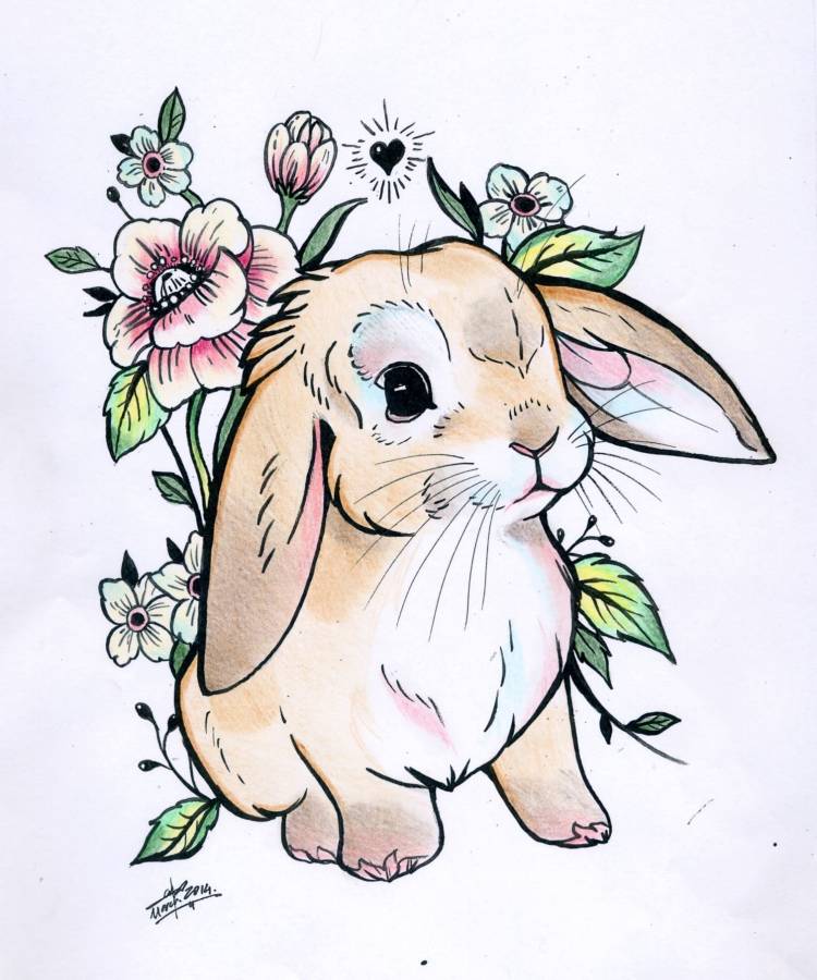 Картинки кроликов для срисовки