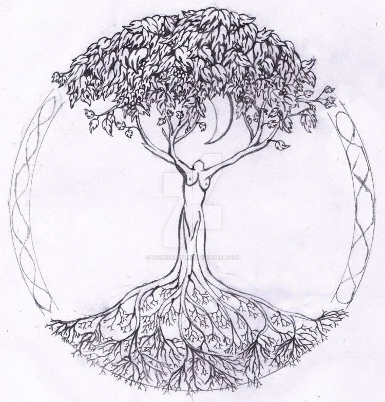 Рисунок древо жизни карандашом легко