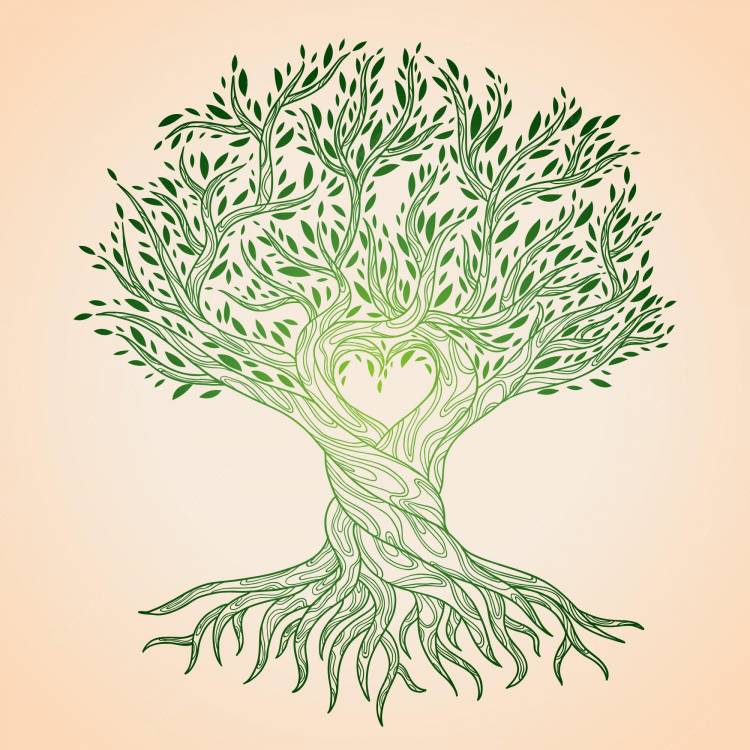 Рисунок дерево древо жизни