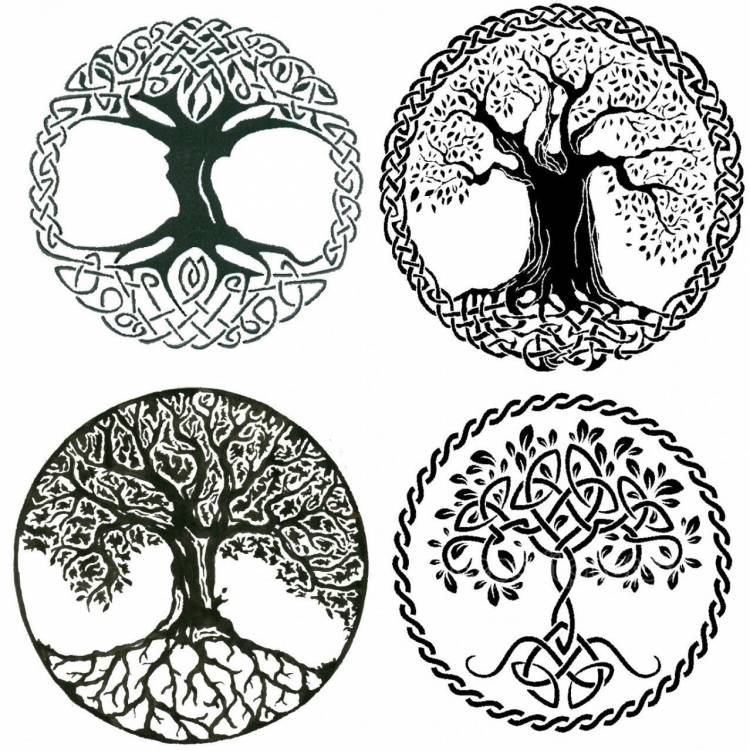 Символ древо жизни рисунок