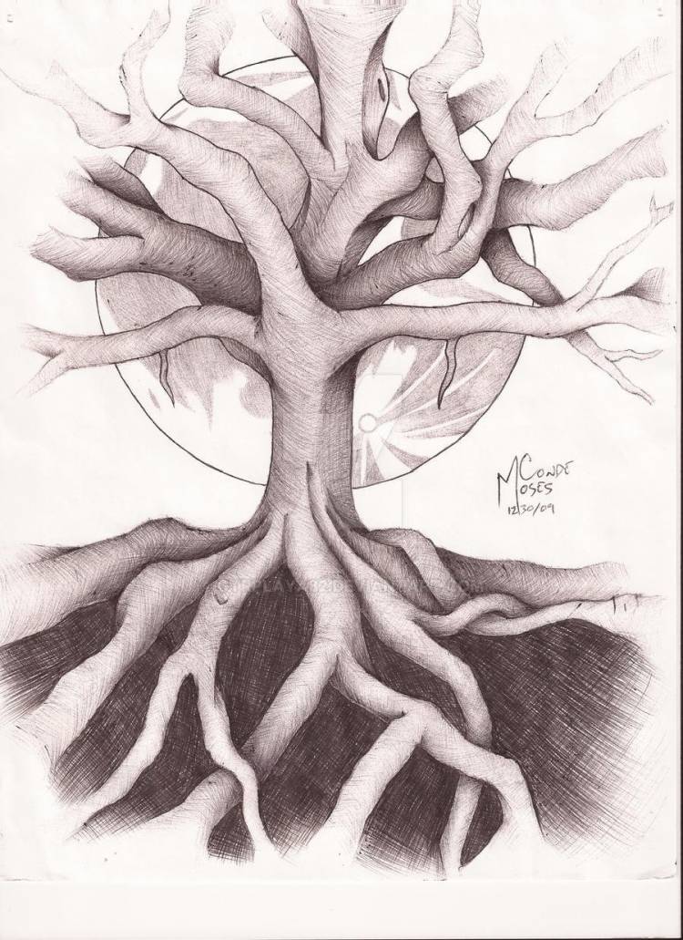 Дерево жизни рисунок карандашом