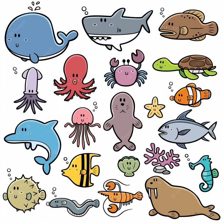 Рисунки морские животные