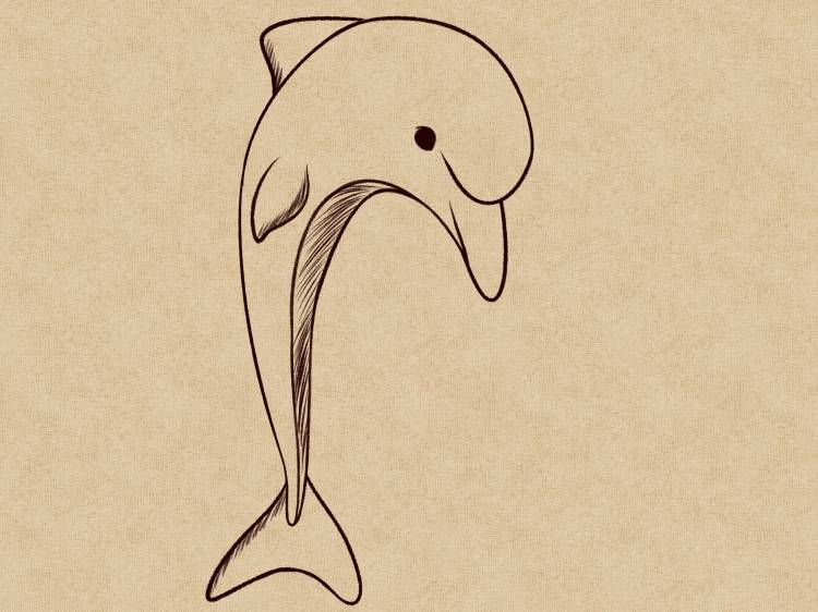 Морские животные рисунки для срисовки