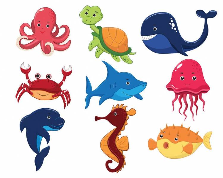 Рисунки морских животных для детей 