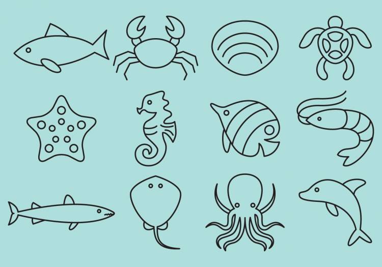 Морские животные простые рисунки 