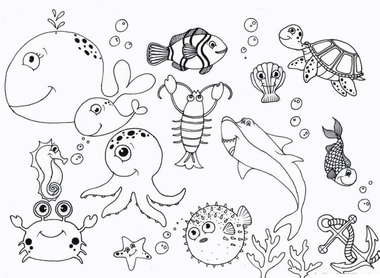 Раскраски животные морей и океанов