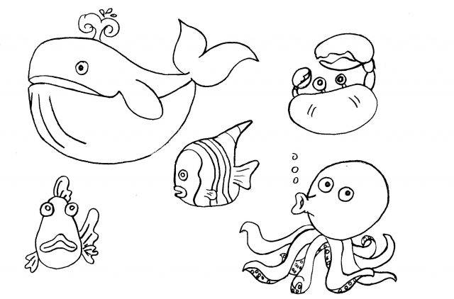 Рисунки для срисовки морские животные 