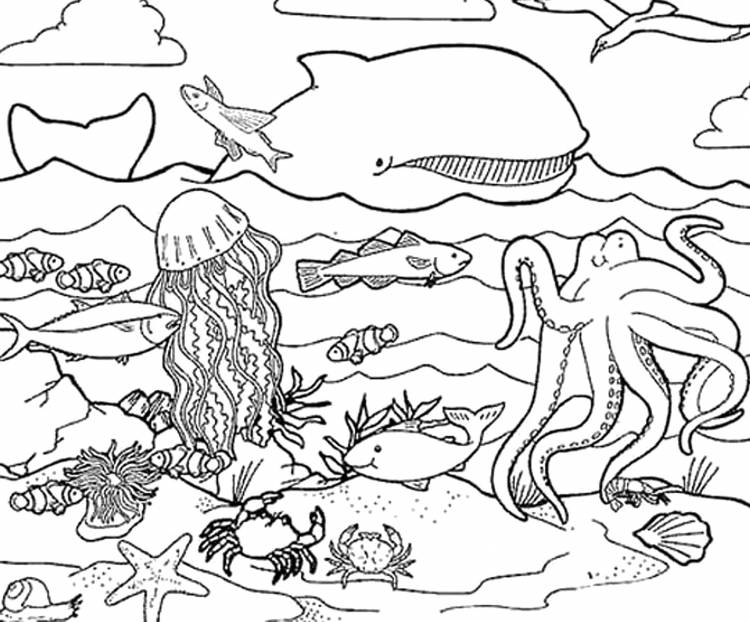 Раскраски Раскраска Раскраска антистресс вдохновение Морские животные, Раскраска Жители моря раскраска Морские животные
