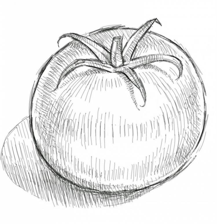 Как нарисовать фрукты карандашом