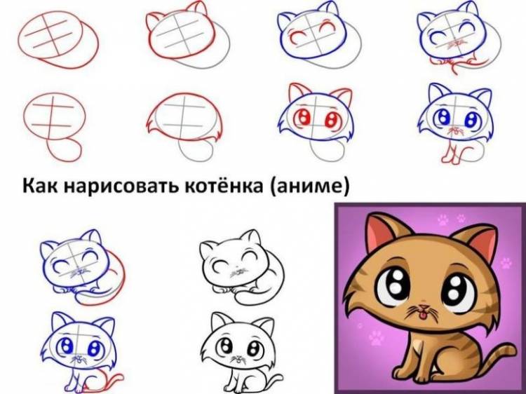 Котенок Срисовки Легкие Пошаговые 