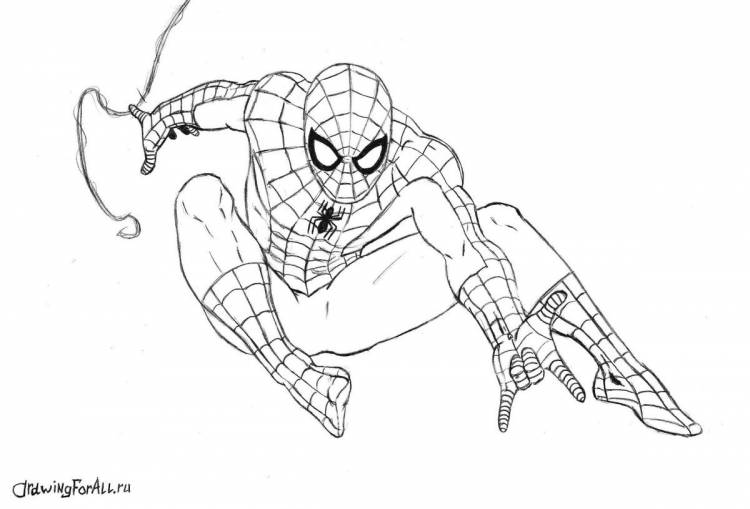 Человек паук рисунок для срисовки