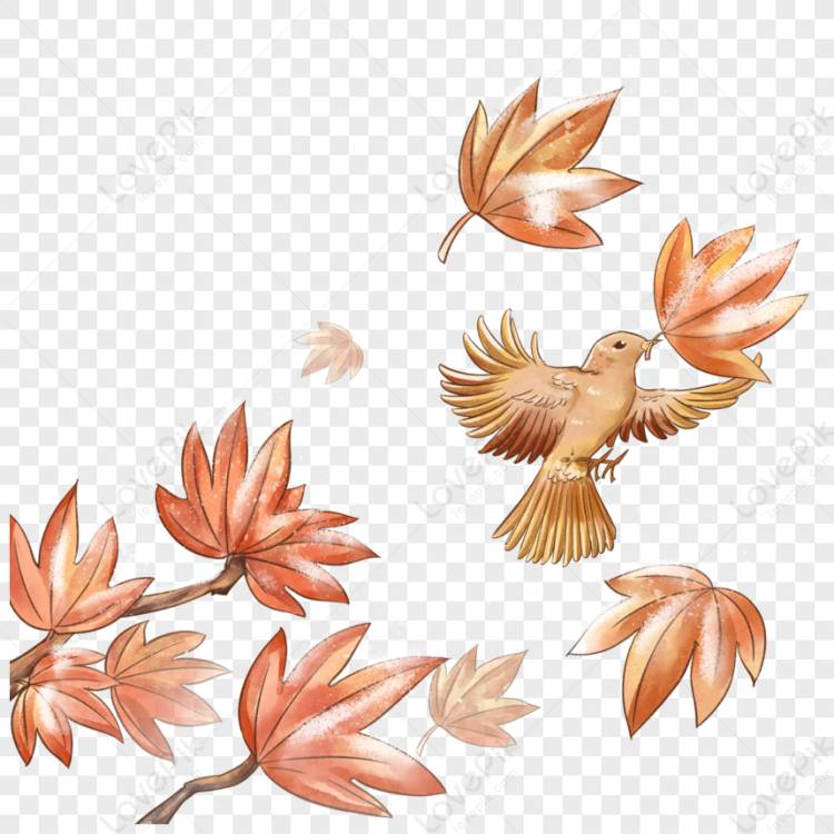 Птицы и матовые кленовые листья изображение_Фото номер