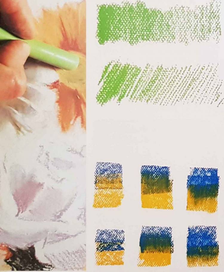Цветные карандаши и пастель в академическом рисунке