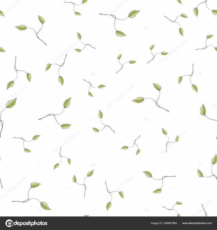Зеленый Лист Листья Белом Фоне Ручной Рисунок Элементов Brances Естественный Векторное изображение ©Juliasart