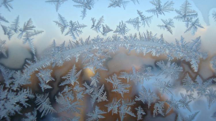 Фотоальбом «Морозные узоры на окнах (физика вокруг нас)
