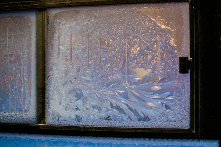 Морозные узоры на окне троллейбуса
