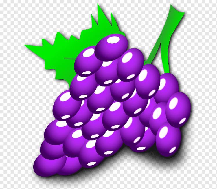 Мультфильм виноградная лоза, трафарет из виноградной лозы, фиолетовый, еда, виноград png